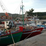 Fishing boats Corfu Greece