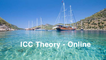 ICC online theory