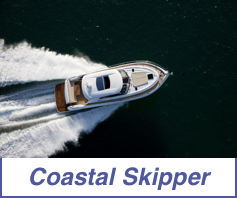 coastal skipper