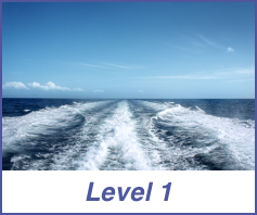 level 1