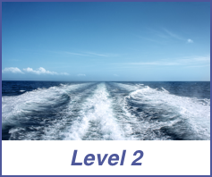 level 2